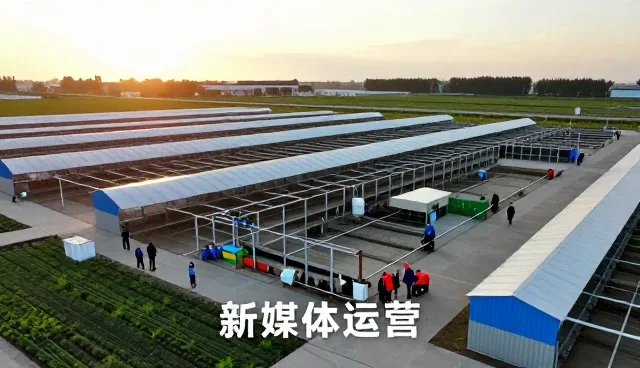 品牌策划满足现代企业发展需求